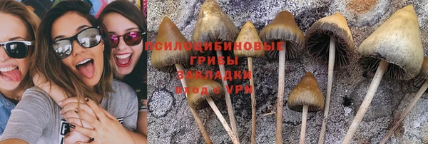 прущие крисы Артём