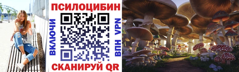 Псилоцибиновые грибы MAGIC MUSHROOMS  hydra рабочий сайт  Междуреченск 