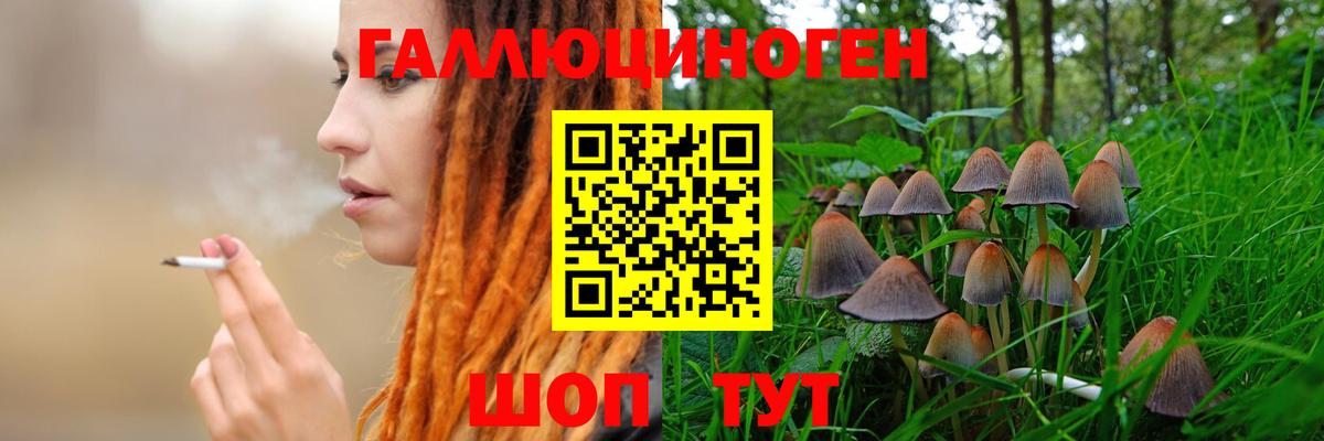 Галлюциногенные грибы Magic Shrooms Междуреченск